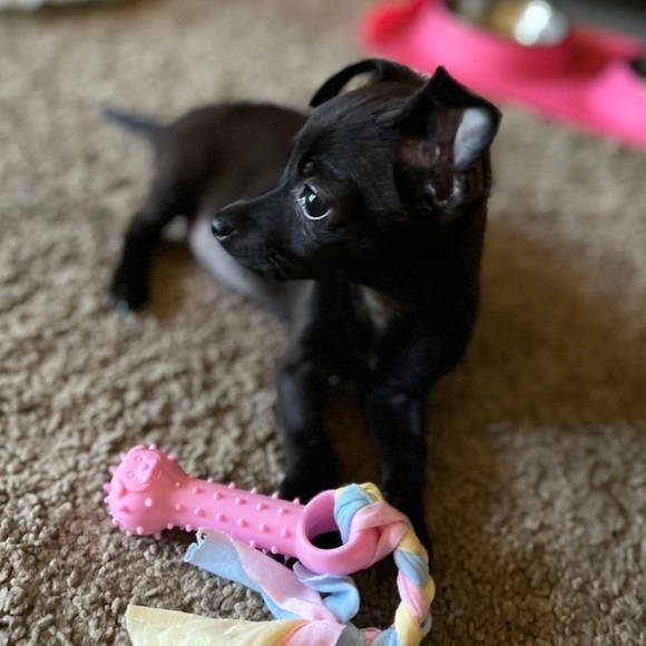 Meet your Posher, Linda - Picture 2 of 2